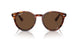 954/AN - Brown - Brown