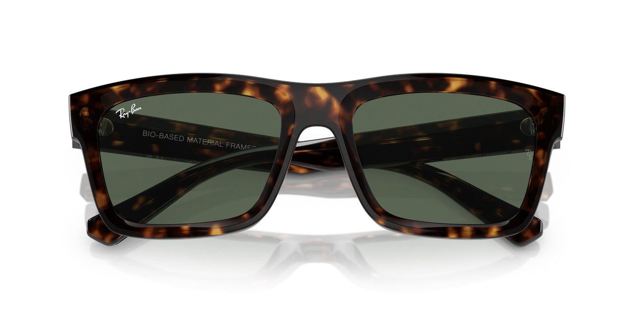 135971 - Tortoise - Dark Blue