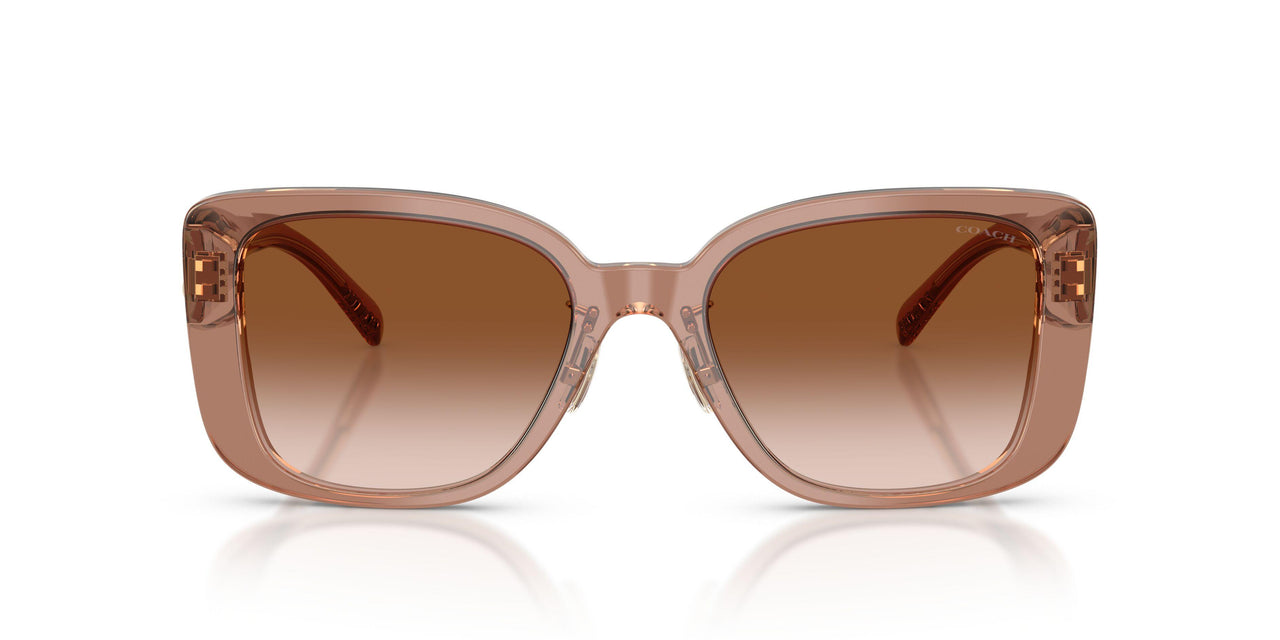 577913 - Brown - Brown Gradient