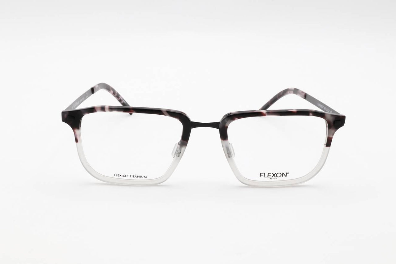 060 - SHINY GREY TORTOISE