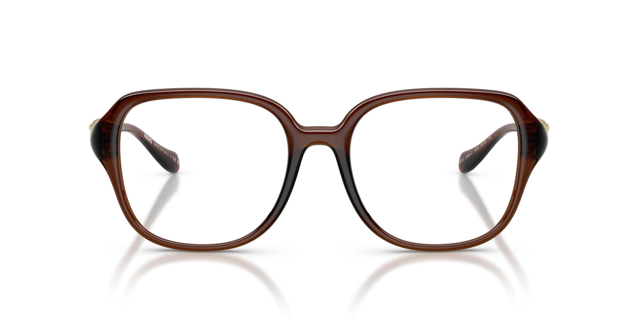 5534 - Brown