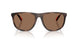597473 - Tortoise - Dark Brown