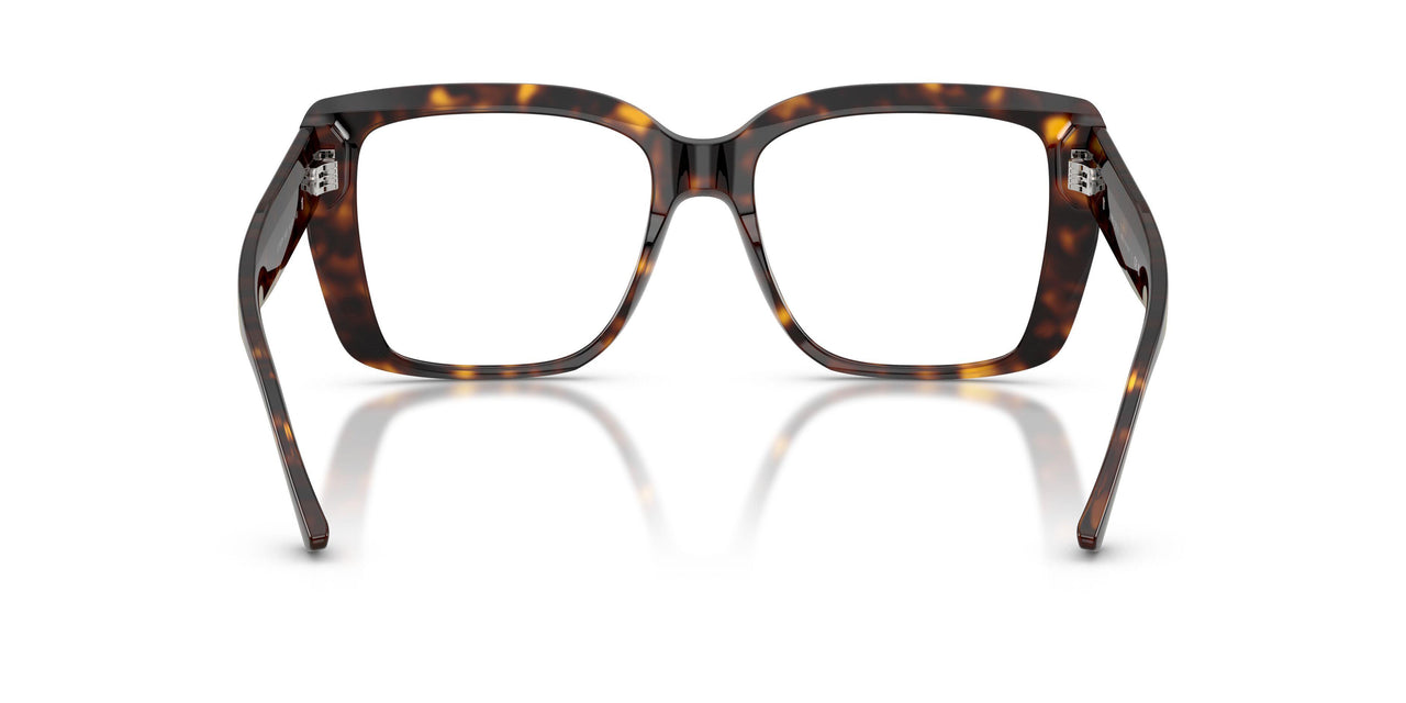 5002 - Tortoise