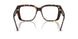 5002 - Tortoise
