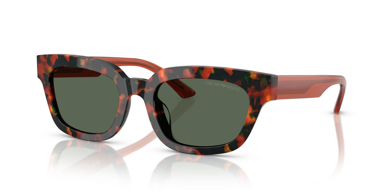 618271 - Tortoise - Dark Green