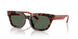 618271 - Tortoise - Dark Green