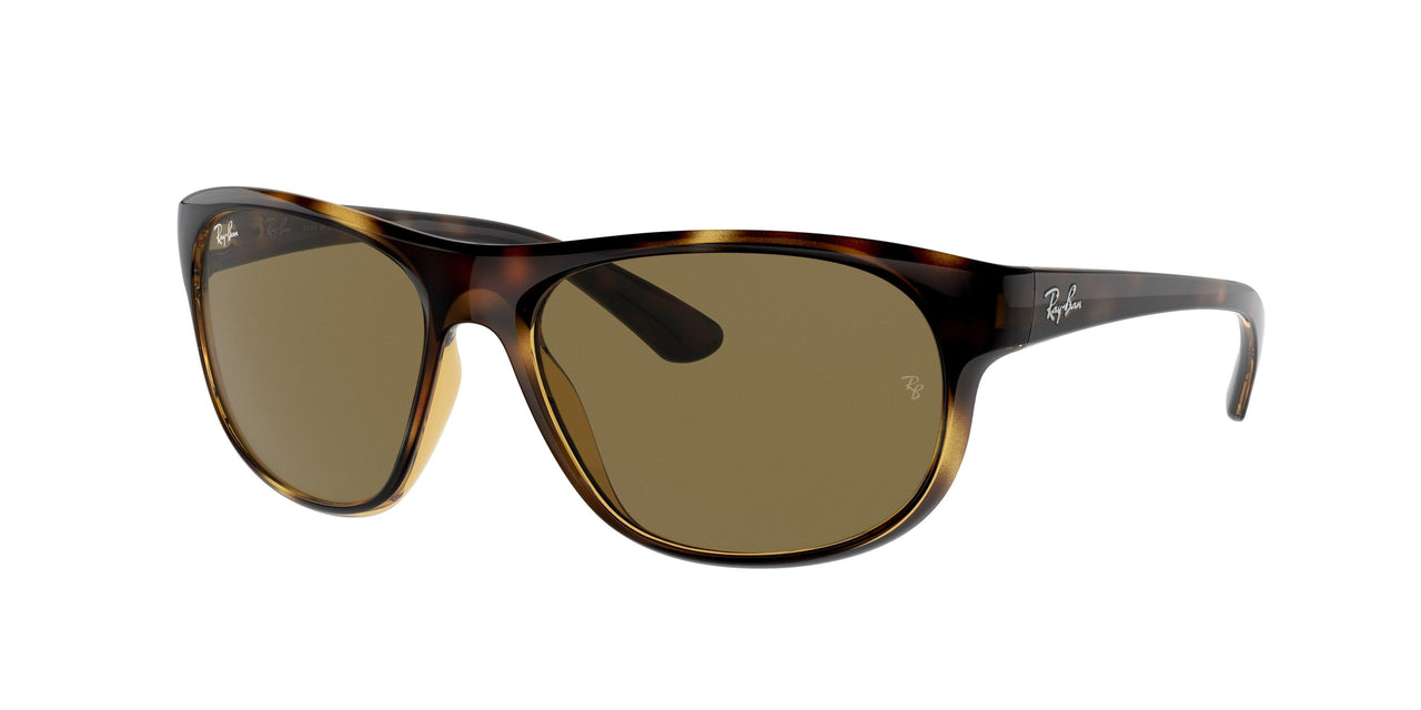 Ray-Ban 4351 Sunglasses