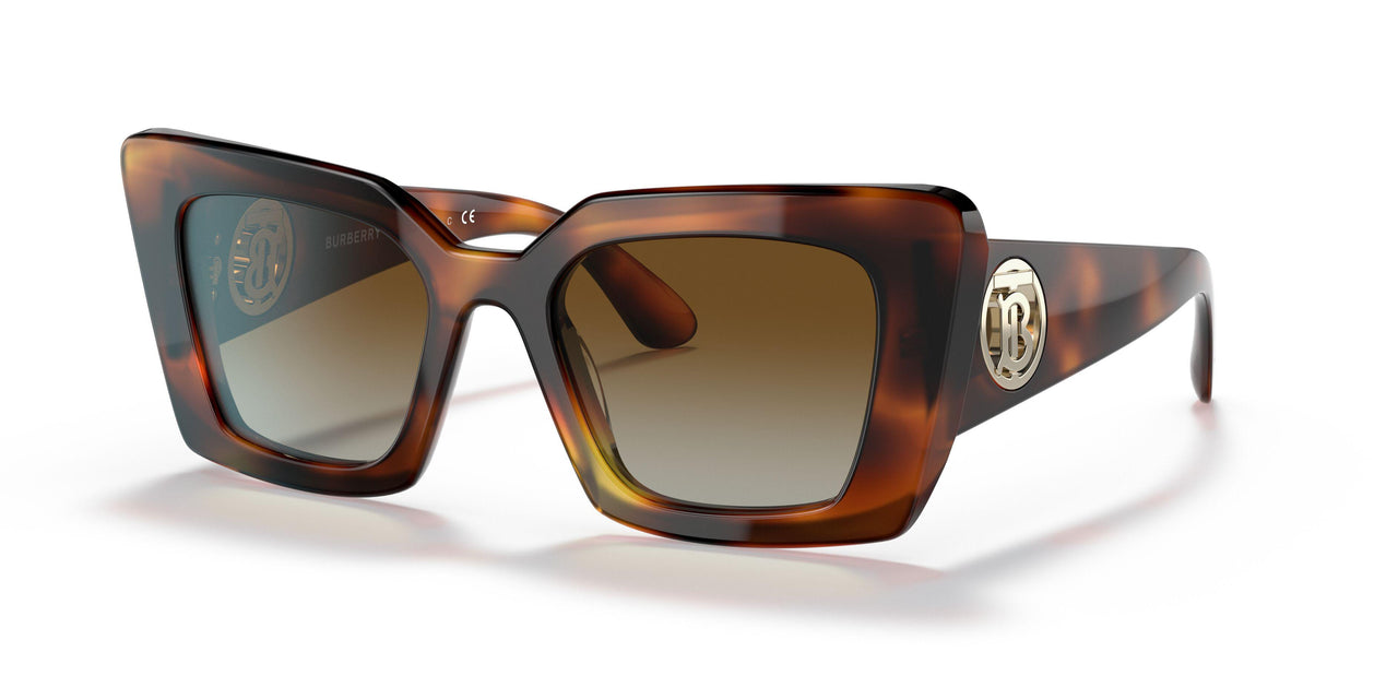 3316T5 - Havana - Polar Brown Gradient