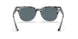 1286R5 - Gradient Havana Grey - Blue