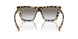 7S00A7 - Tortoise - Grey Gradient
