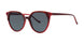 MODZS BOCACHICA Sunglasses