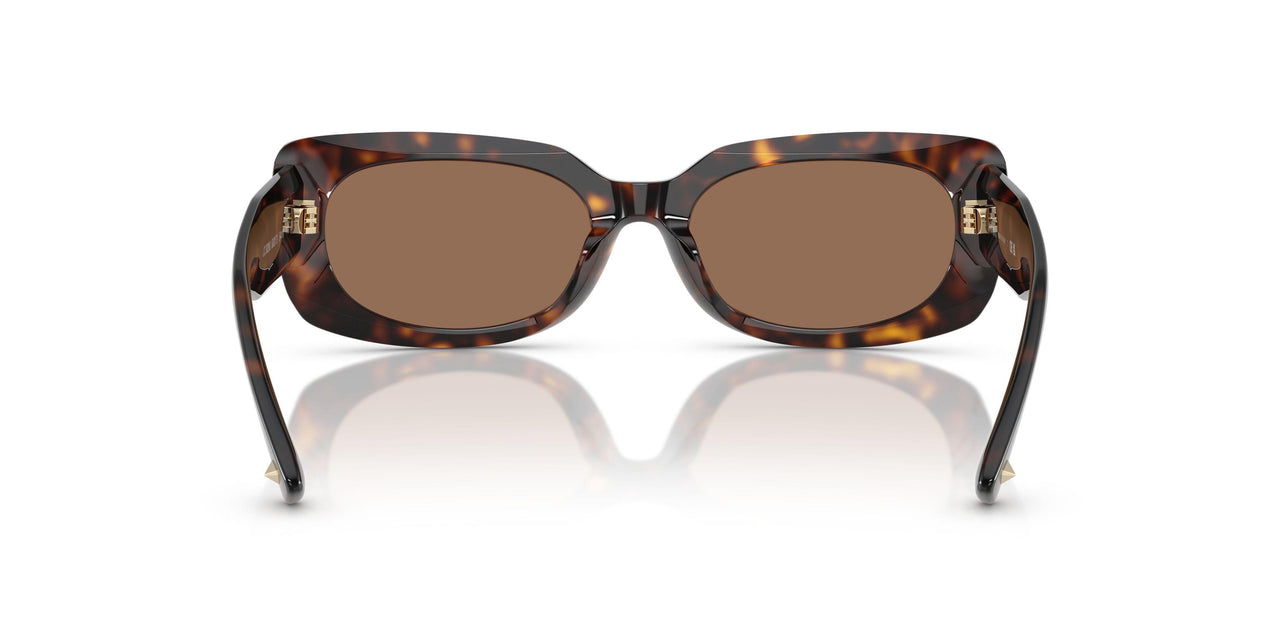 500273 - Tortoise - Dark Brown