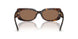 500273 - Tortoise - Dark Brown