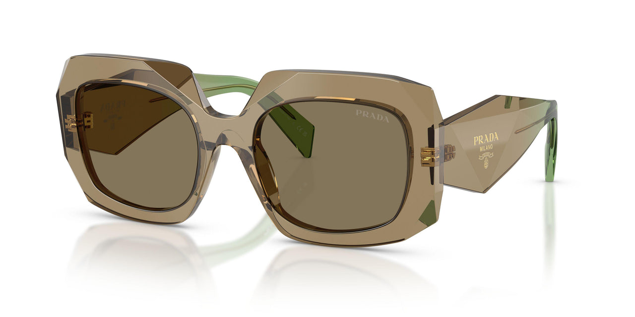 29E90F - Brown - Light Brown