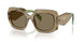29E90F - Brown - Light Brown