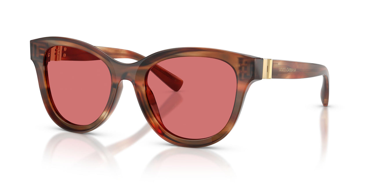 322175 - Tortoise - Red