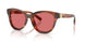 322175 - Tortoise - Red