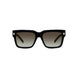 01B - Shiny Black - Smoke