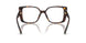 5002 - Tortoise