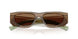 29E90F - Brown - Light Brown