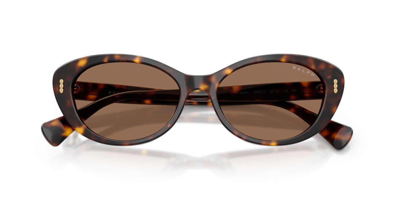 500373 - Brown - Brown