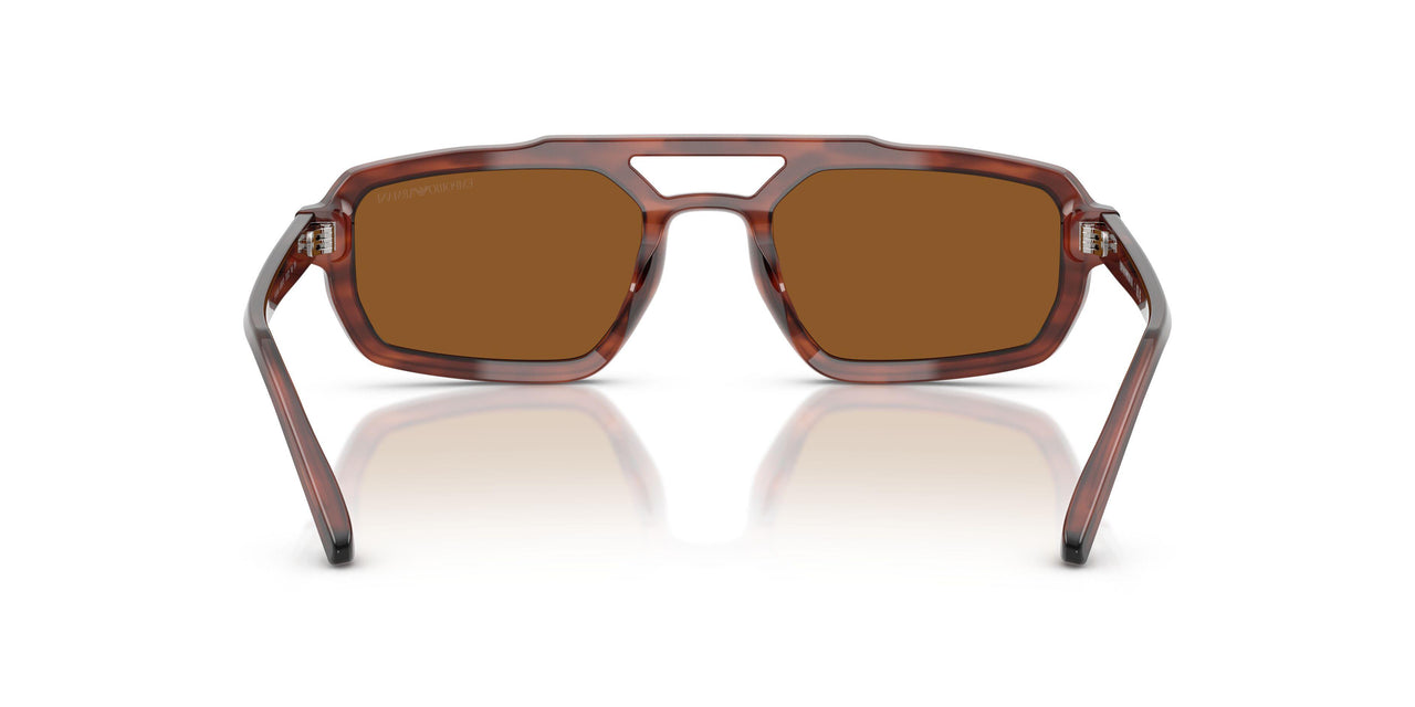 620373 - Brown - Brown