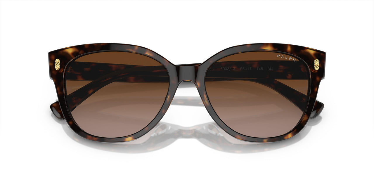 500313 - Black - Gradient Brown