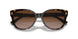 500313 - Black - Gradient Brown