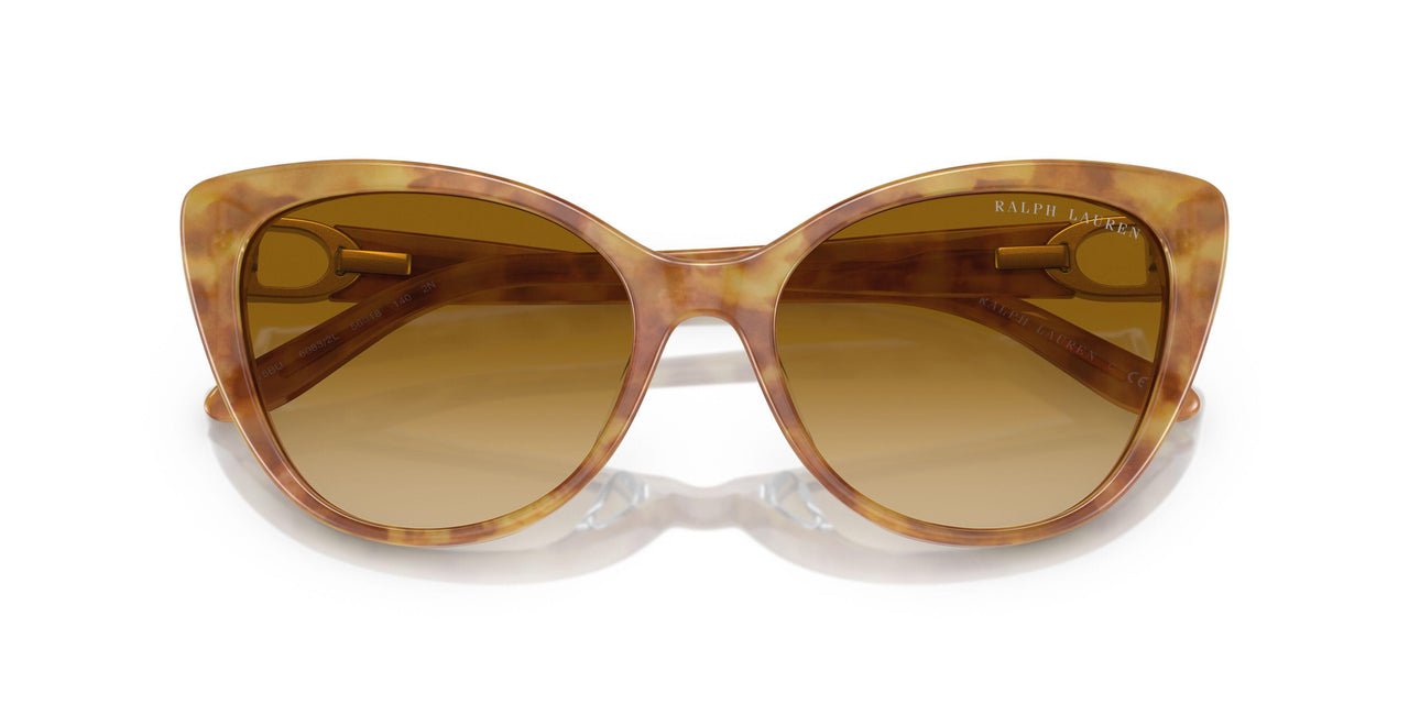 60832L - Tortoise - Gradient Yellow