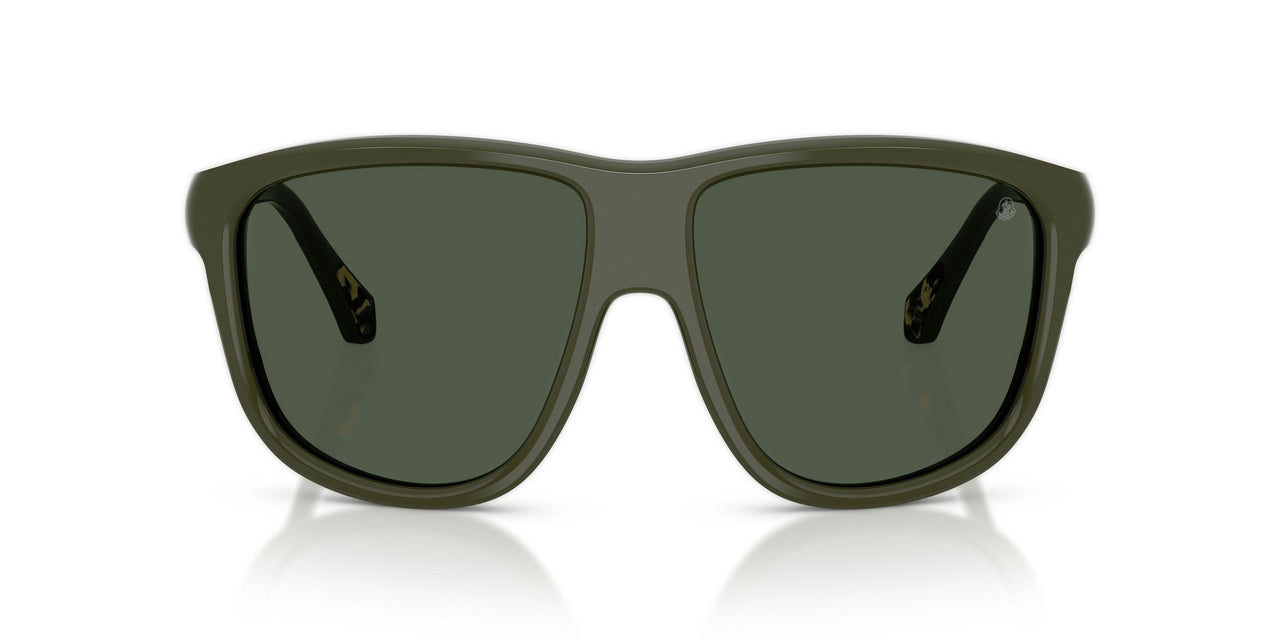 30529A - Green - Polarized Dark Green
