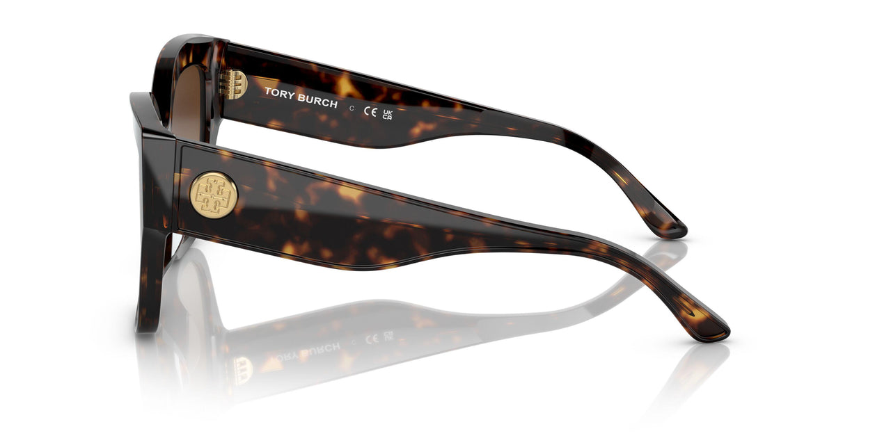 172813 - Havana - Brown Gradient