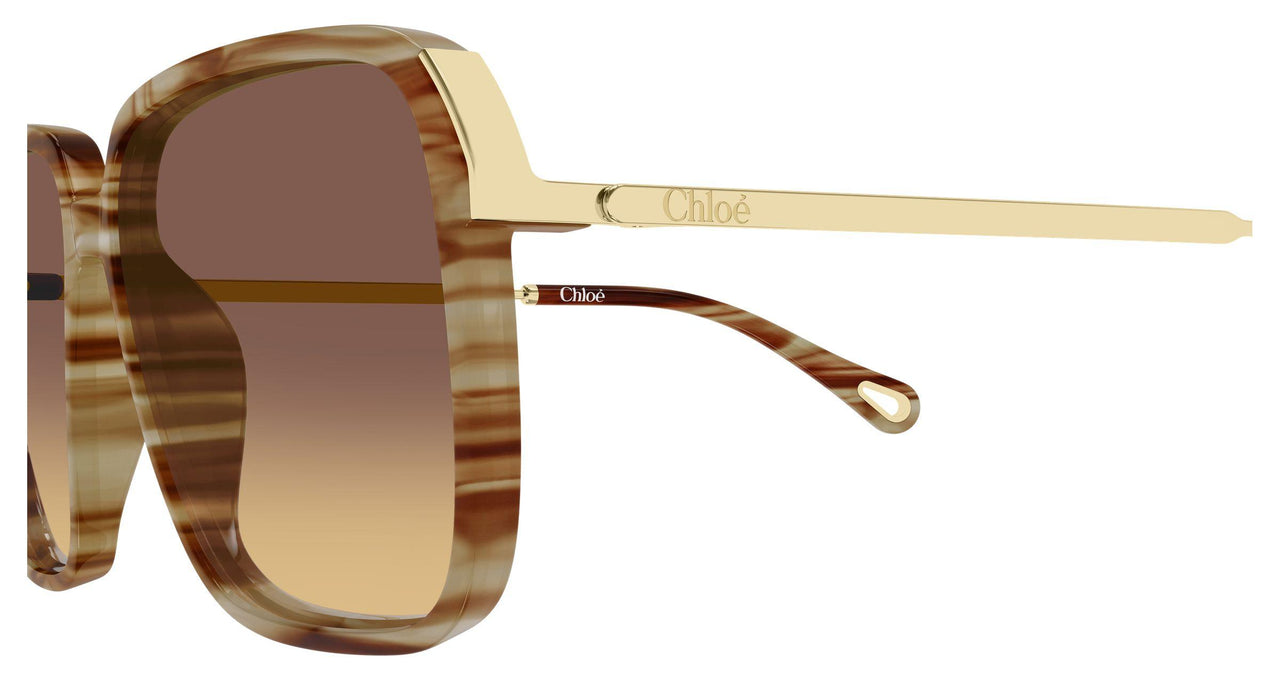 004 - Havana/Gold - Brown
