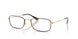 3177 - Tortoise - Clear
