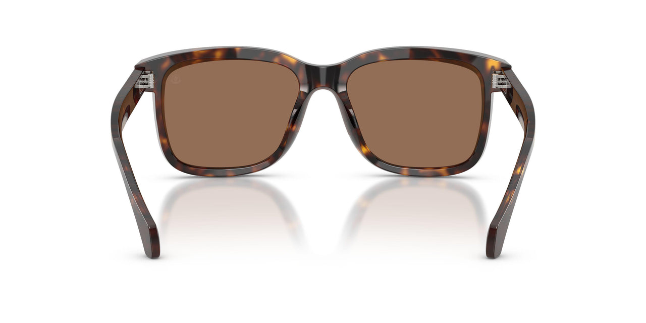 300273 - Tortoise - Brown Solid
