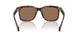 300273 - Tortoise - Brown Solid