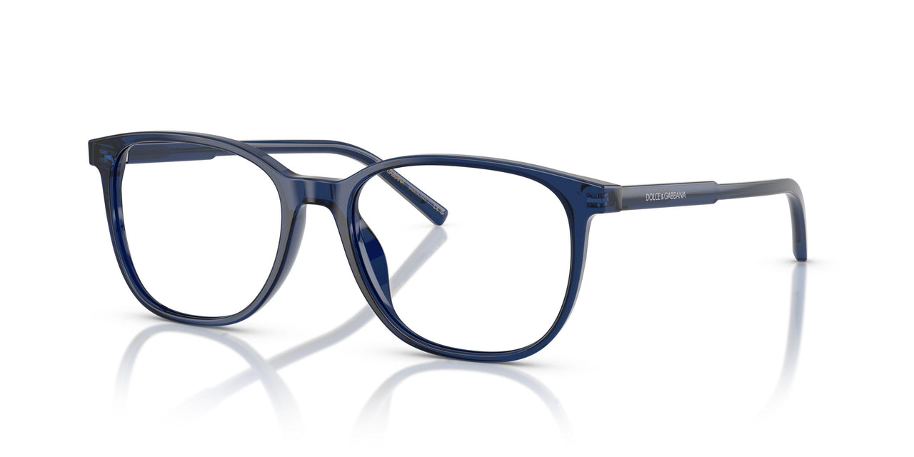 3009 - Blue