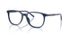 3009 - Blue