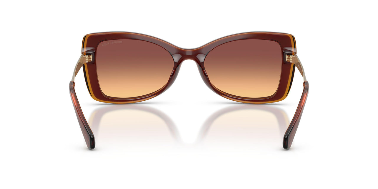 311378 - Brown - Brown Gradient