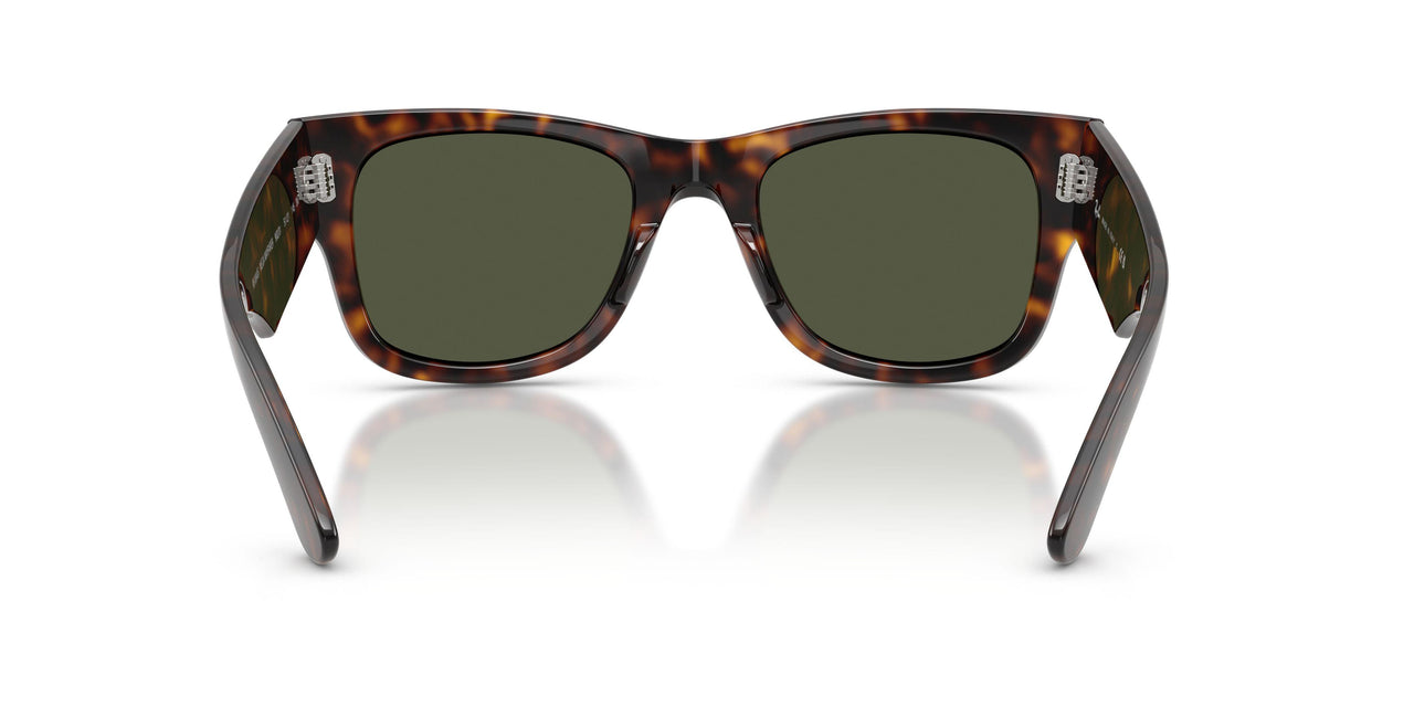 902/31 - Tortoise - Green