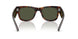 902/31 - Tortoise - Green