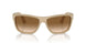 116951 - Brown - Clear Gradient Brown