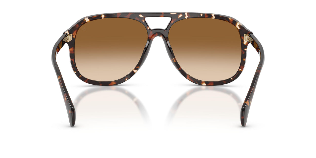 304889 - Tortoise - Gradient Brown