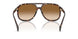 304889 - Tortoise - Gradient Brown