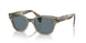 66353R - Green - Dark Blue Polar