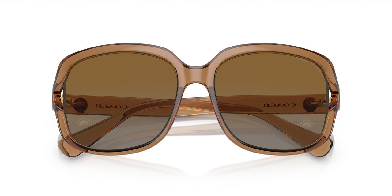 5561T5 - Brown - Brown Grey Gradient Polar