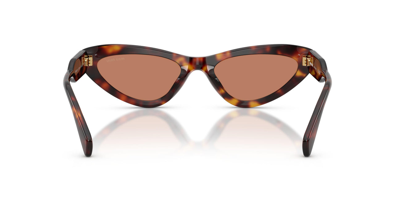 27L90Q - Tortoise - Brown