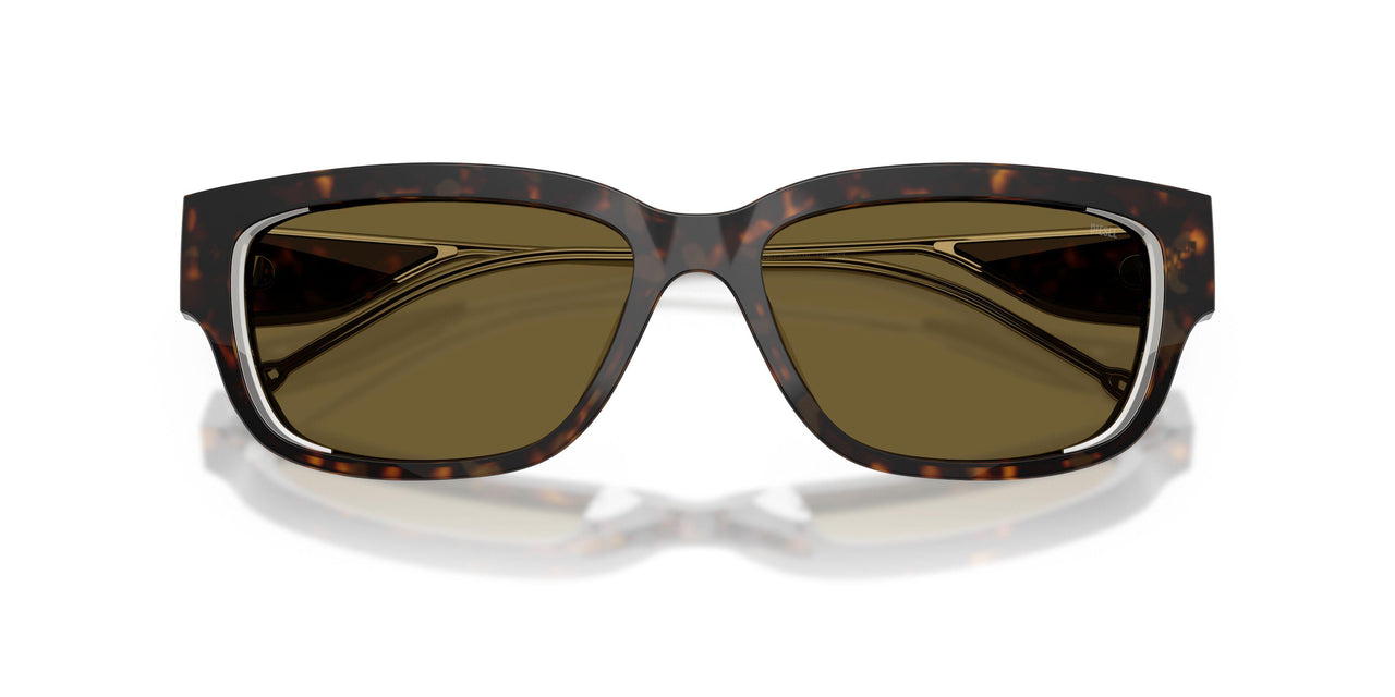 713/73 - Tortoise - Brown