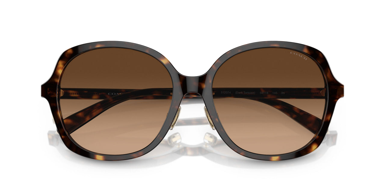 512074 - Tortoise - Brown Gradient