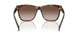 500313 - Tortoise - Gradient Brown