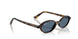 135980 - Tortoise - Dark Blue